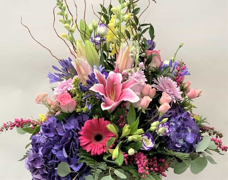 Spectacular Spring Flowers to Bring Home - Moravian Florist