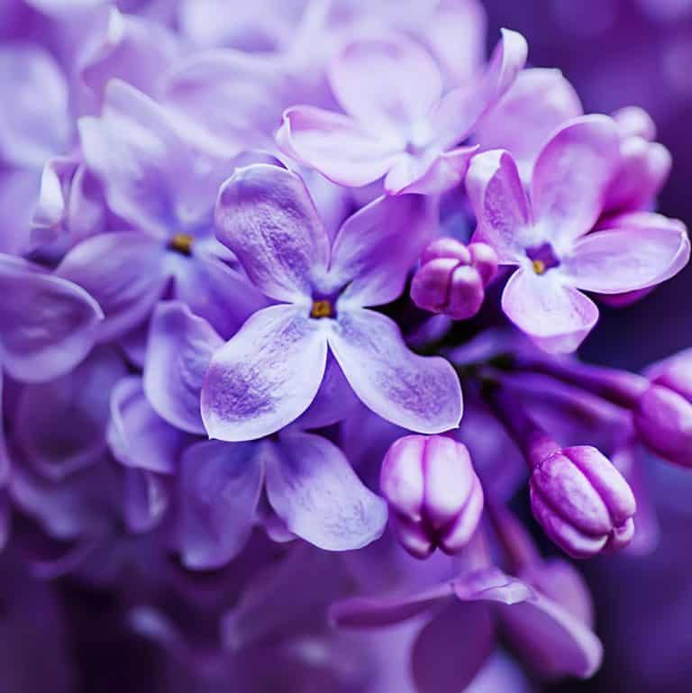 The Understated Elegance of Pastel Flowers Moravian Florist