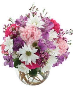 A bubble bowl holds a mixture carnations, daisies, and alstroemeria in this colorful arrangement.